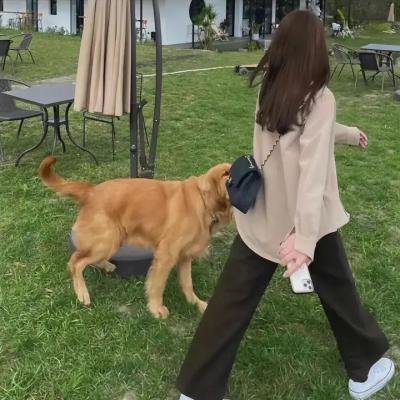 风骚律师第四季