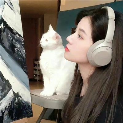 万族之劫第二季
